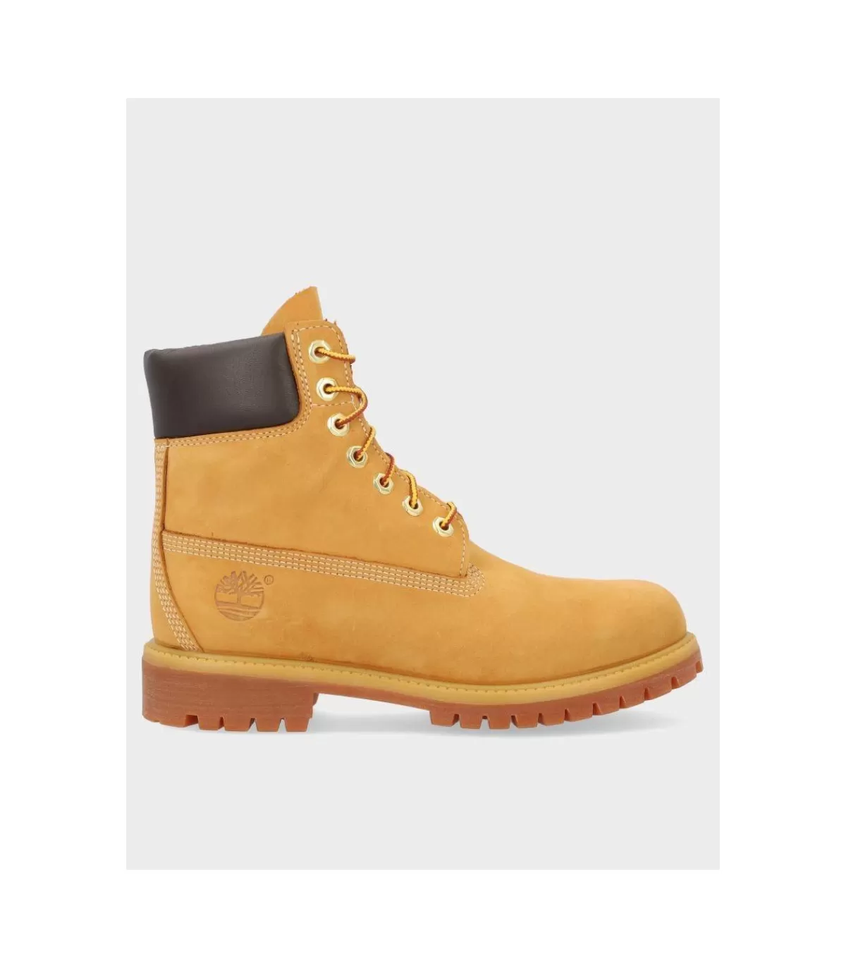 Bota 6 Inch Yellow>Timberland Outlet